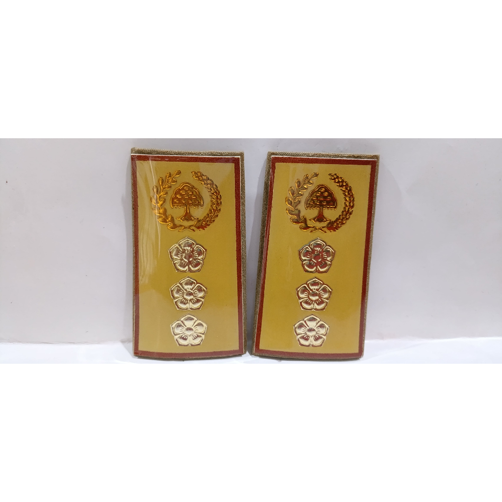 Pangkat Camat PDH Fiber - Pangkat PDH Camat Fiber