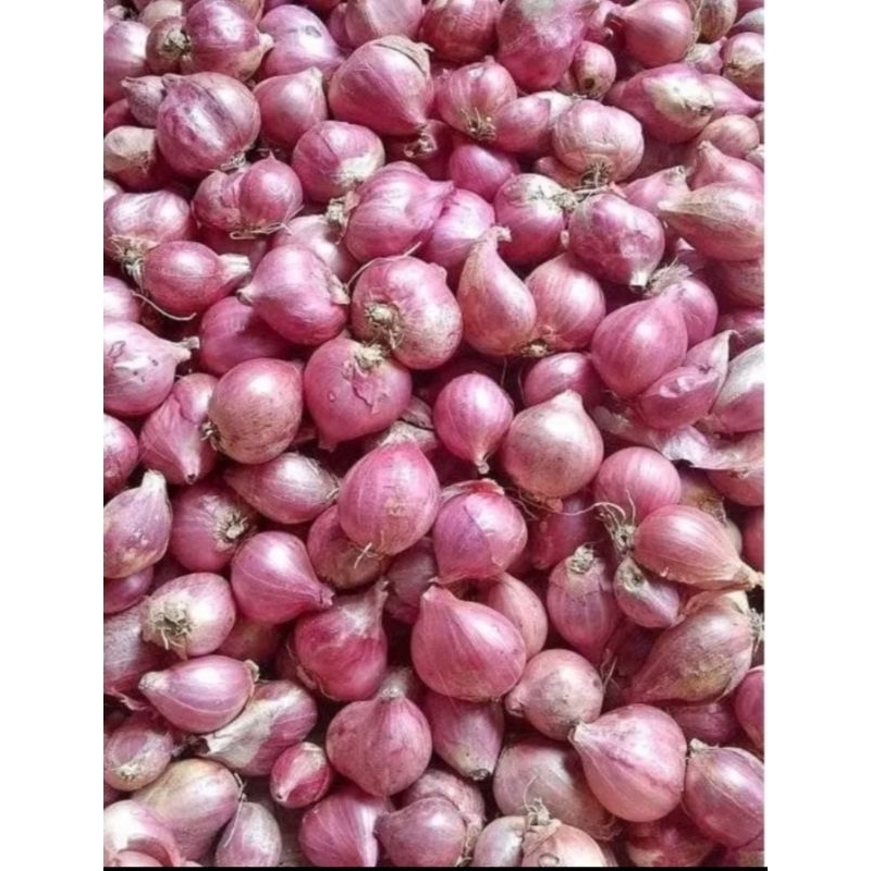 

Bawang Merah Termurah 1 Kg Ukuran Sedang