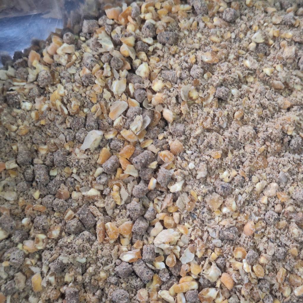 5Kg Pur Telur Repack 5 KG Pur Ayam Petelur Pakan Ayam Bertelur Berkualitas