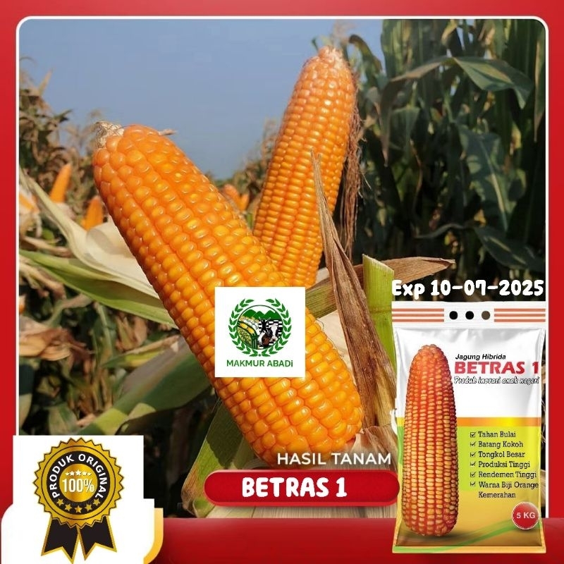 Benih Jagung Betras 1 5kg