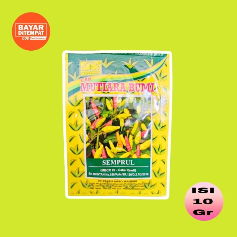benih cabe rawit semprul 10gr mutiara bumi