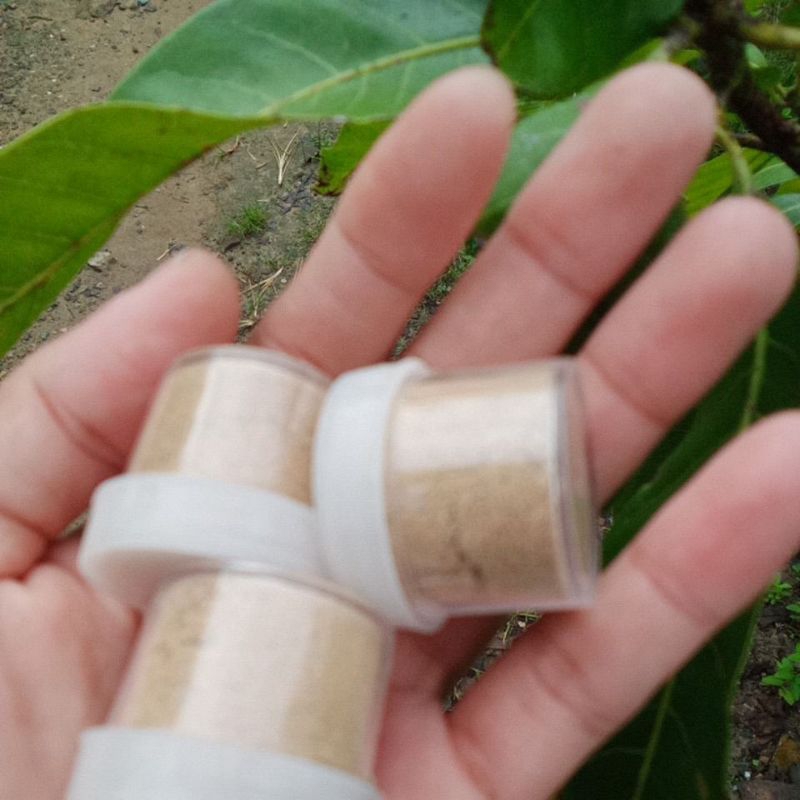 

ramuan Dayat kering