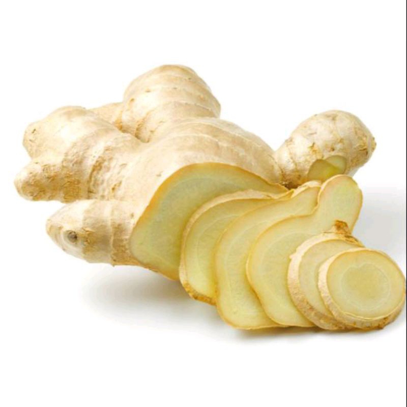 

lempuyang fresh 1kg