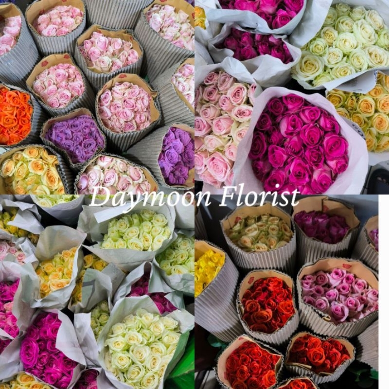 [BISA DIKIRIM HARI INI] 20 Tangkai Grade A Bunga Mawar Asli Segar/ Rose Fresh /Rose Merah SexyRed / 