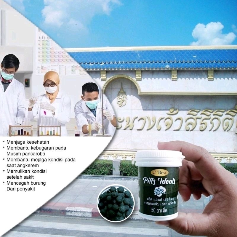 JAMU BURUNG BEST PILLS IDEAL HERBAL BURUNG MERPATI DARA POS TINGGI BALAP ISI 50 BUTIR KHUSUS BURUNG 