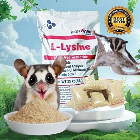 LYSINE MINI - Vitamin Sugar Glider Penggemuk Penambah Nafsu Makan Anti Stress Anti Sakit Sugar Glide
