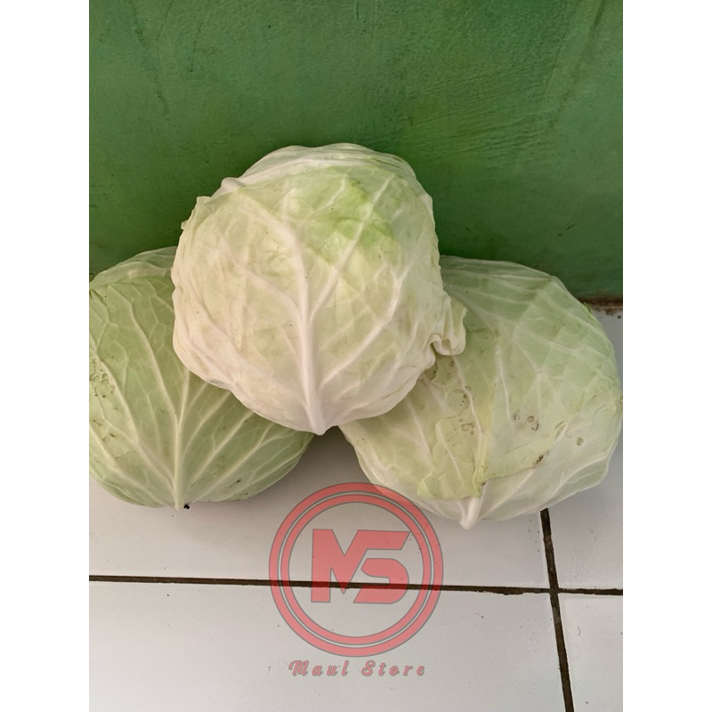 

Kol/Kubis Besar (500Gram/1KG)