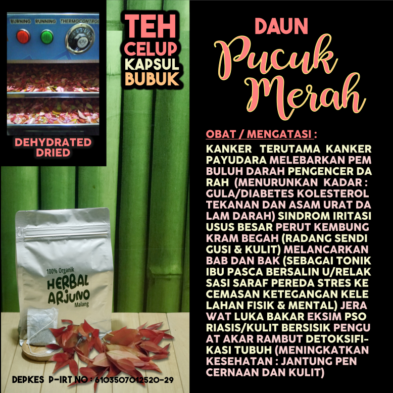 

Dehydrated Dried Teh Celup Kapsul Bubuk Daun Pucuk Merah Obat Kanker Payudara Diabetes Kolesterol Hipertensi Asam Urat Herbal Jamu Bersalin Akar Rambut Pengencer Darah Sindrom Iritasi Usus Besar Diare Keracunan Makanan Kelelahan Radang Sendi Herbal Alami