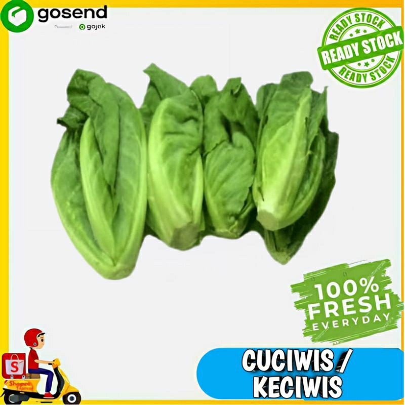 

Cuciwis - sayuran segar - Tukang Sayur Palembang