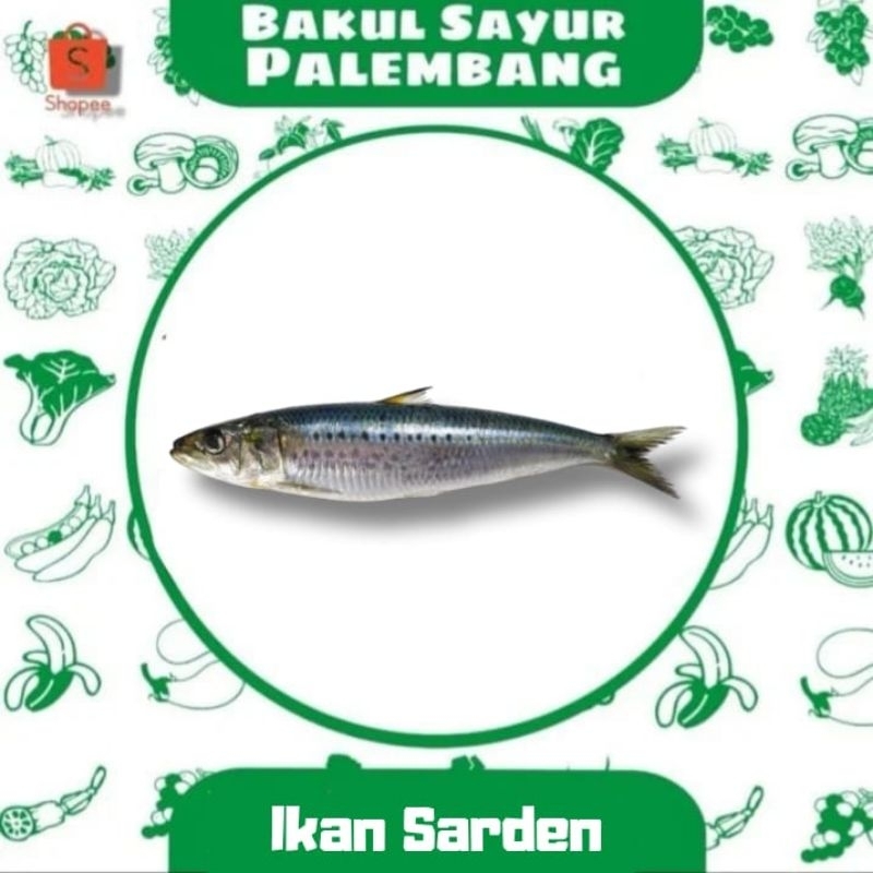 

Ikan Sarden (PALEMBANG)