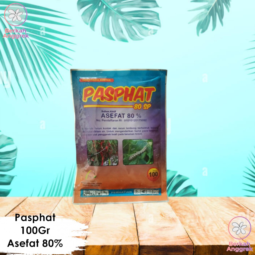 Pasphat Prosefat 100 Gram Insektisida Asefat