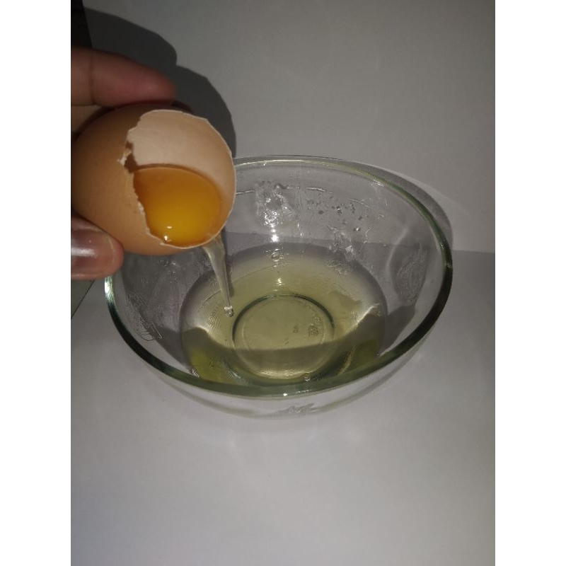 

telurhorenayamsegar
