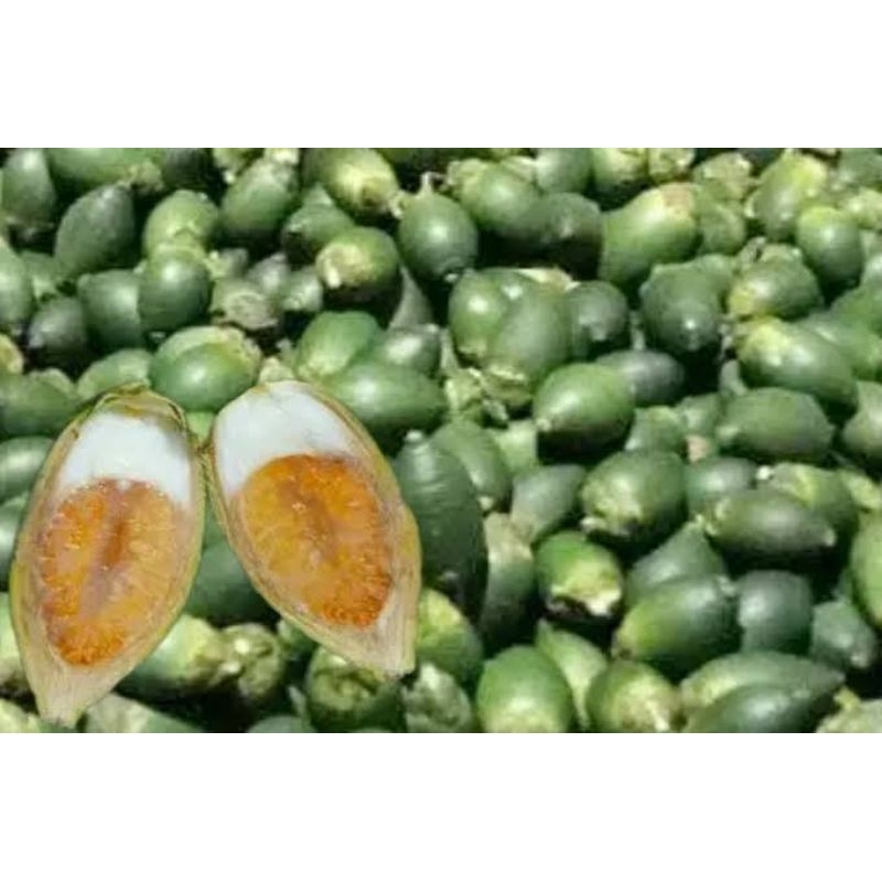 

pinang muda segar fres 500gram