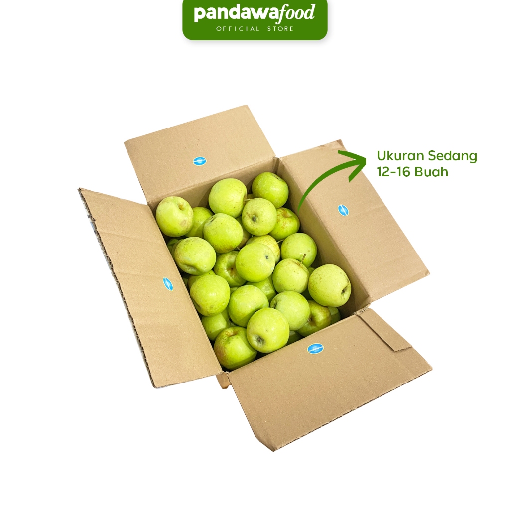 

Apel Malang Manalagi Ukuran Sedang 15 sampai 17