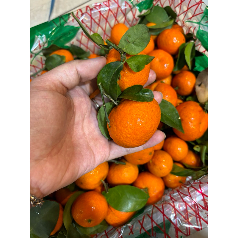 

Jeruk Santang Kecil Fresh Keranjang | 1kg
