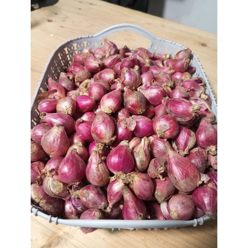 

Bawang Merah Brebes ukuran sedang 1kg