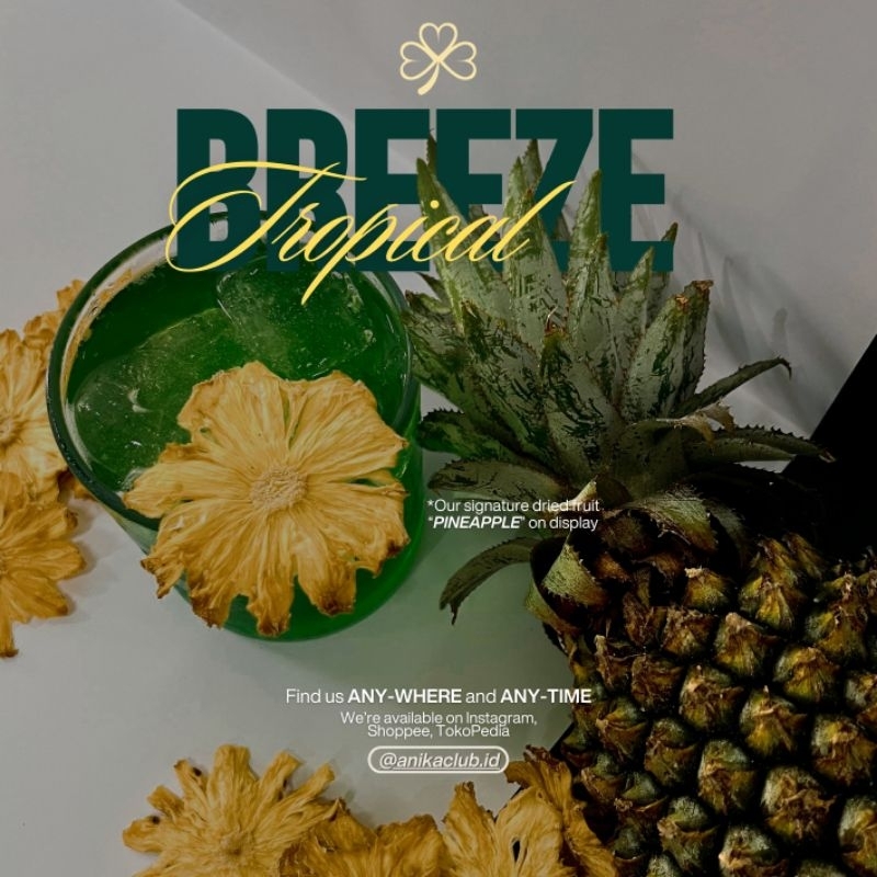 

Dried Pineapple Slice | Nanas Kering Iris | 50Gr | 100Gr
