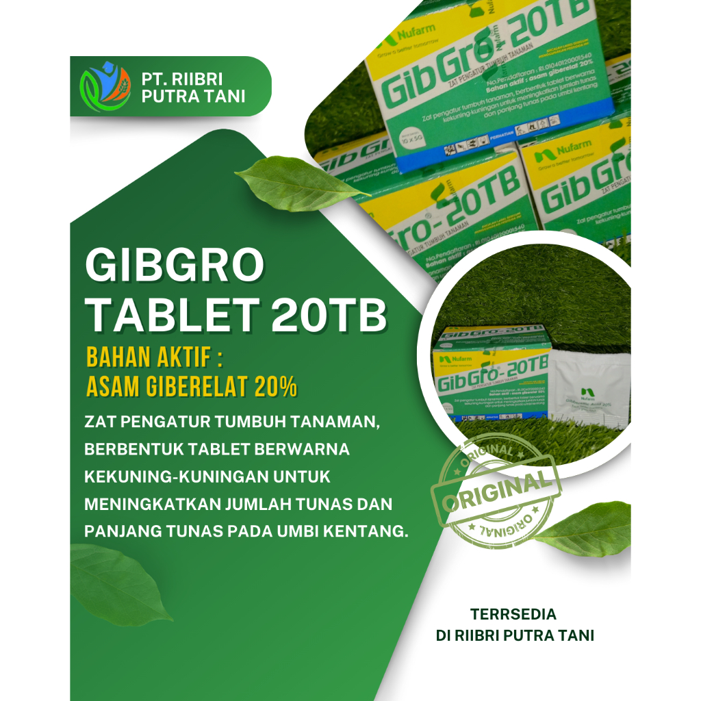 ZPT GIBGRO TABLET 20TB