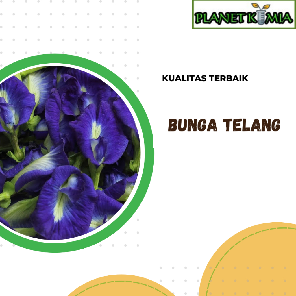 

ekstrak bunga telang best product