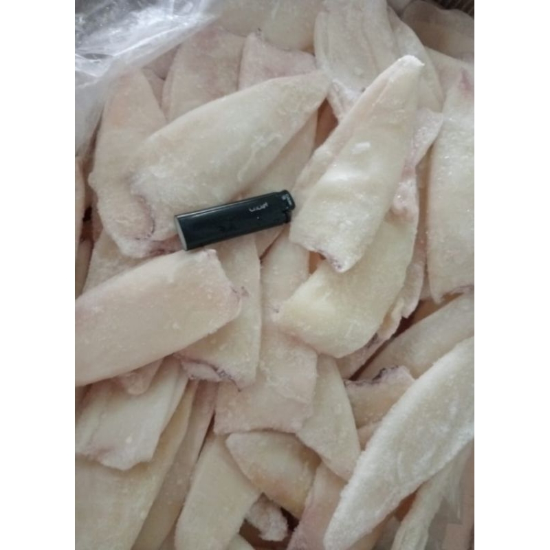 

Cumi loligo