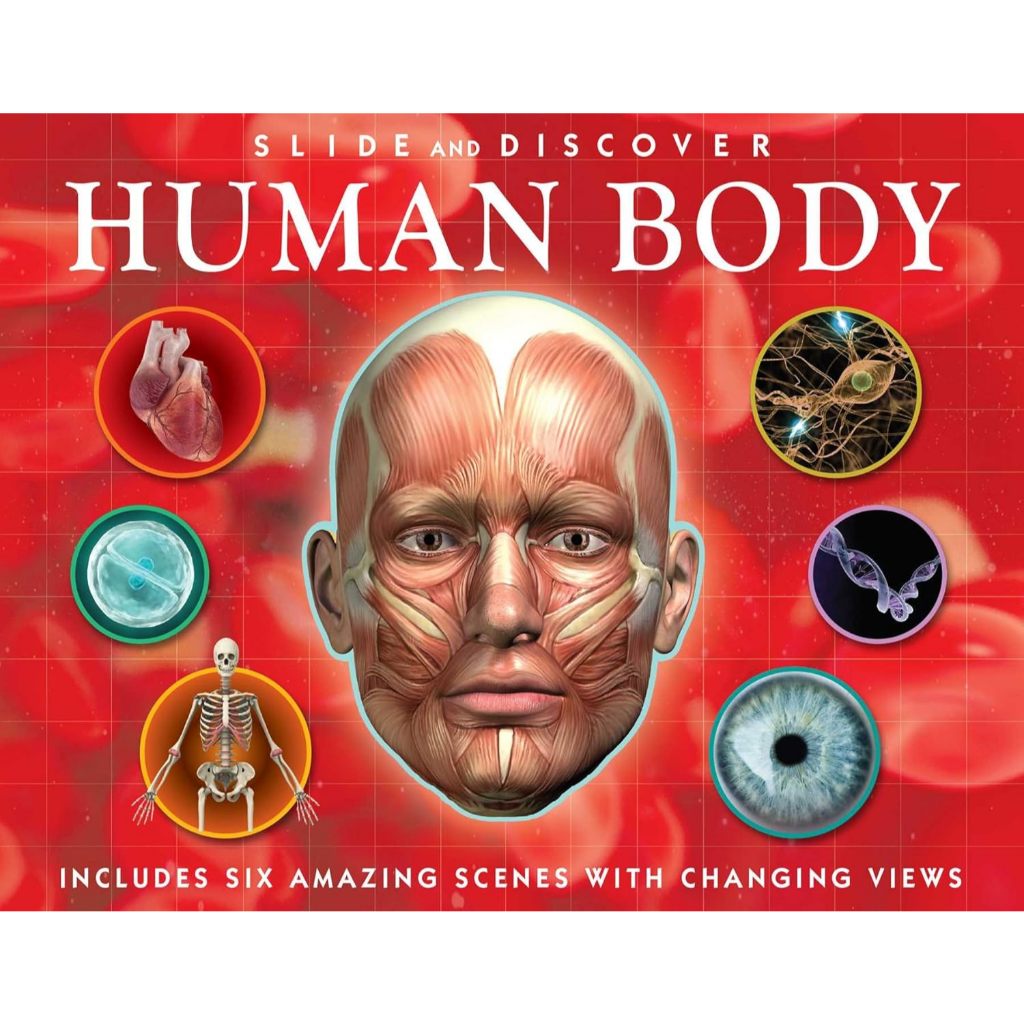 Slide and Discover Human Body