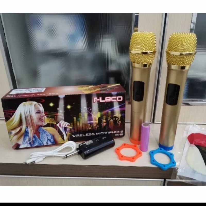 Mik professional wireless mic double FLECO M-12 Mic double FLECO