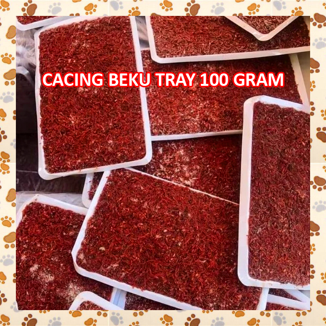 B48FZR Cacing Beku TRAY Papan Cabek Cacing Darah Bloodworm Merah Segar Makanan Ikan Hias Cupang Gupp