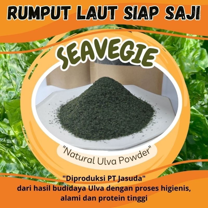 

SEAVEGIE 100 gr / Rumput Laut Siap Saji/ Green Seaweed Powder / Ulva Powder