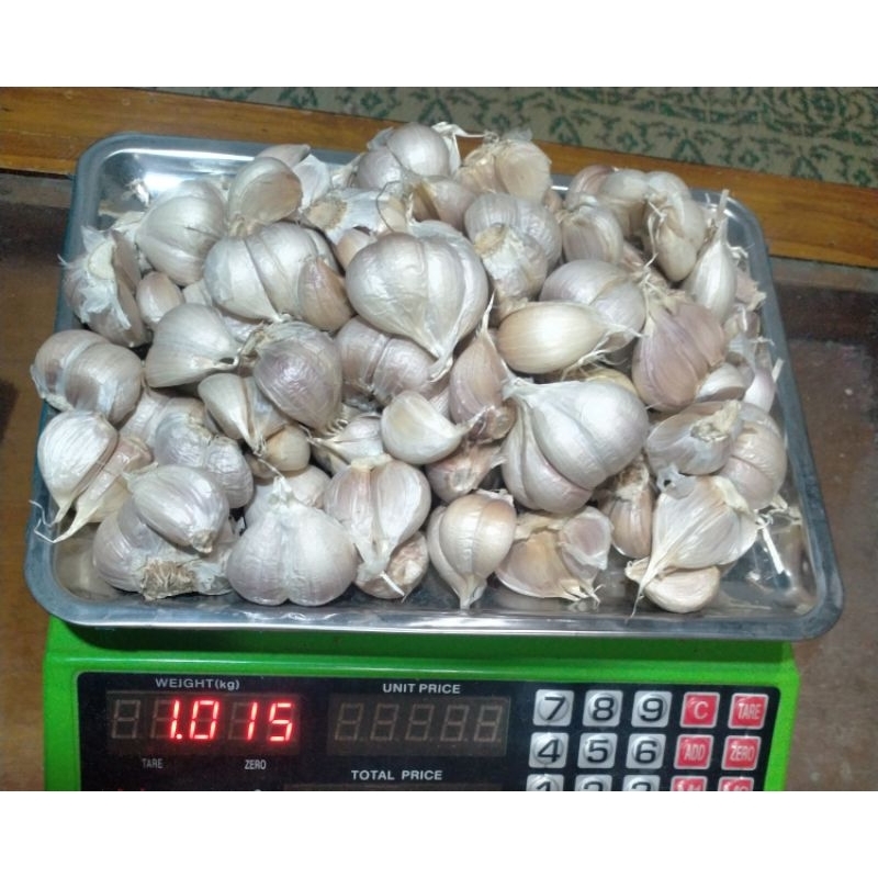 

Bawang Kating 1kg bersih