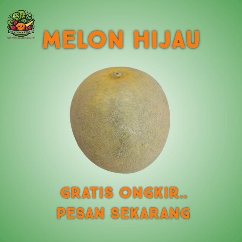 

MELON SKY ROCK