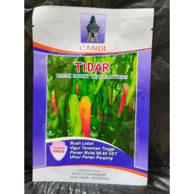 Benih Cabai Rawit TIDAR ( Tipe Gantung )