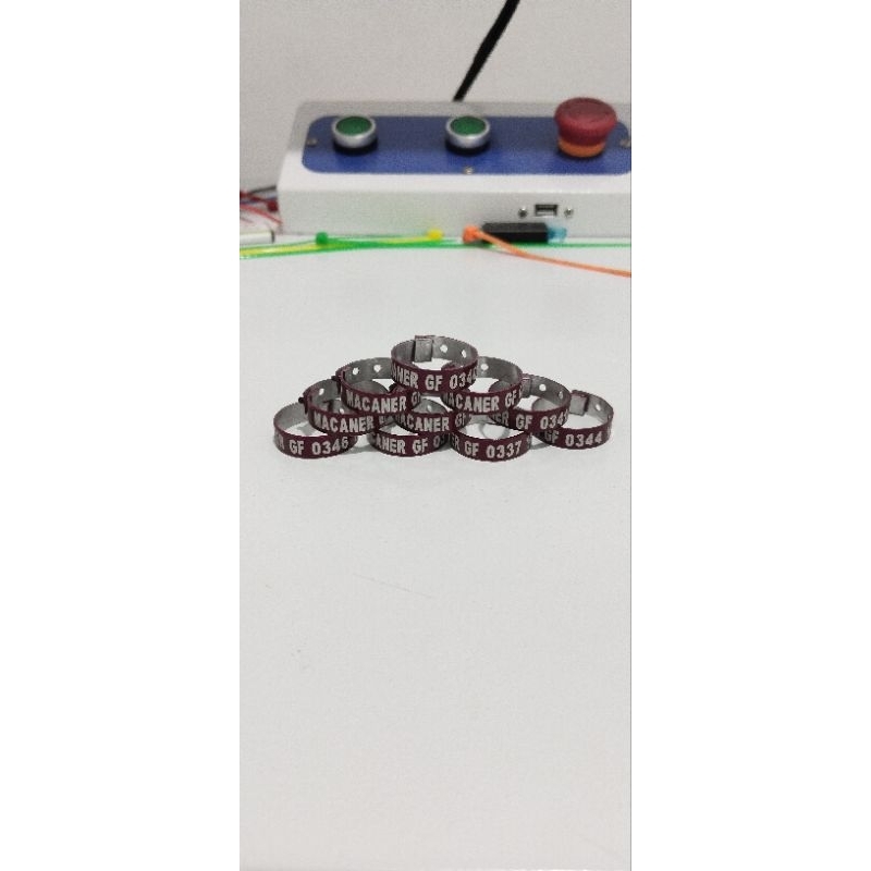 10 PCS LEG BAND CHICKEN GELANG AYAM BANGKOK PAKHOY MANGON PILIPHINE