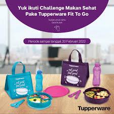 fit to go Tupperware bekal sekat