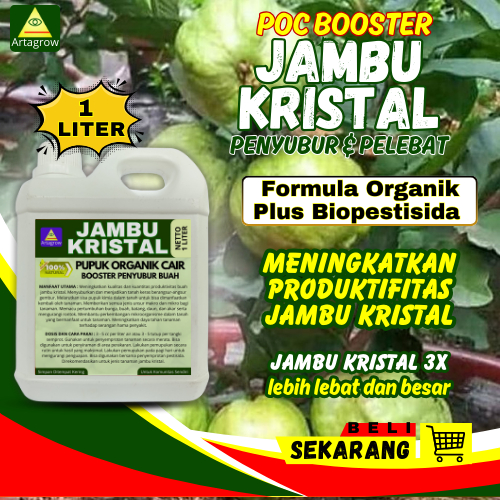 Pupuk Jambu Kristal Cepat Berbuah / Pupuk Jambu Kristal Berbuah Lebat / Pupuk Pembesar Jambu Kristal