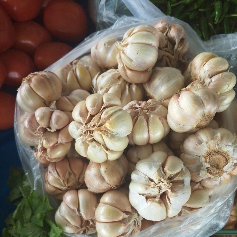 

Bawang Putih