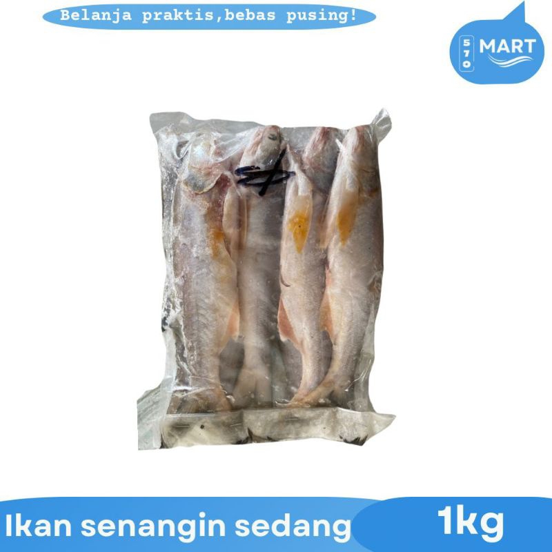 

ikan senangin Sedang Segar beku 1kg