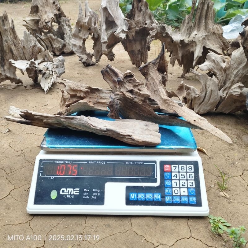 kayu rentek 1kg dekorasi paludarium