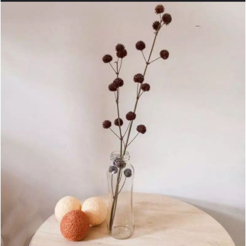 POMPOM KERING ,BUNGA POMPOM KERING,HIASAN RUANGAN, POMPOM KERING, HIASAN LAMARAN, HIASAN KAMAR, HIAS