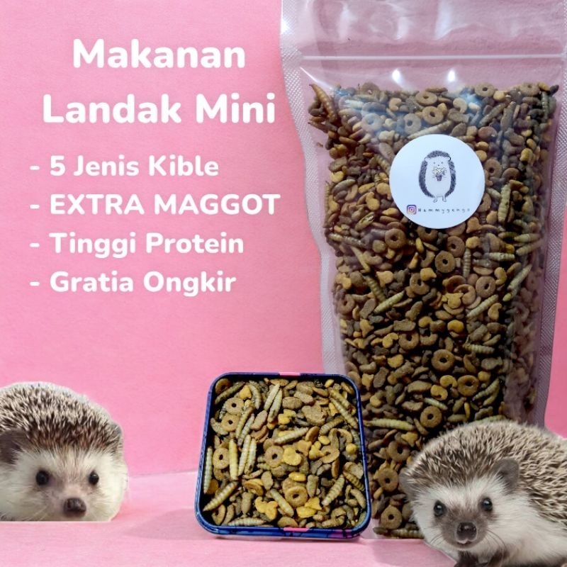 Makanan landak mini dan hamster