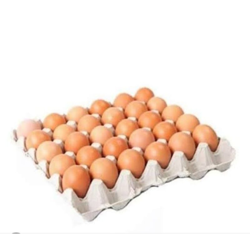 

Telur Ayam ras 1papan isi 30 butir, Padang