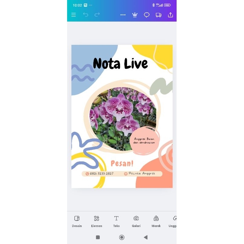 Nota Live angbul mini