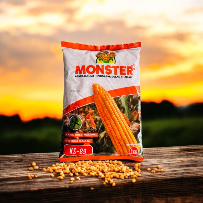 BENIH JAGUNG HIBRIDA UNGGULAN THAILAND MONSTER