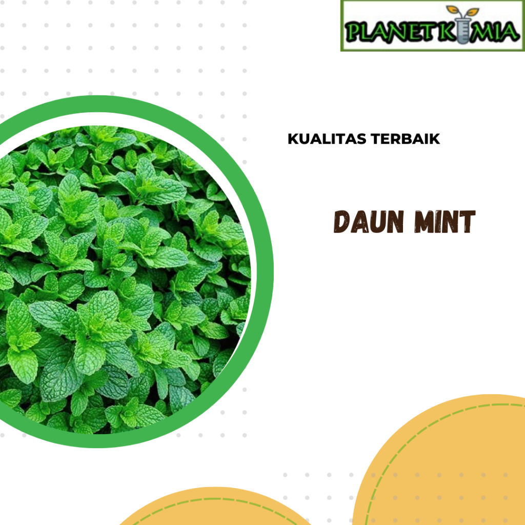 

ekstrak daun mint best product
