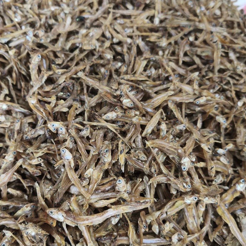 

IKAN TERI UKURAN KECIL