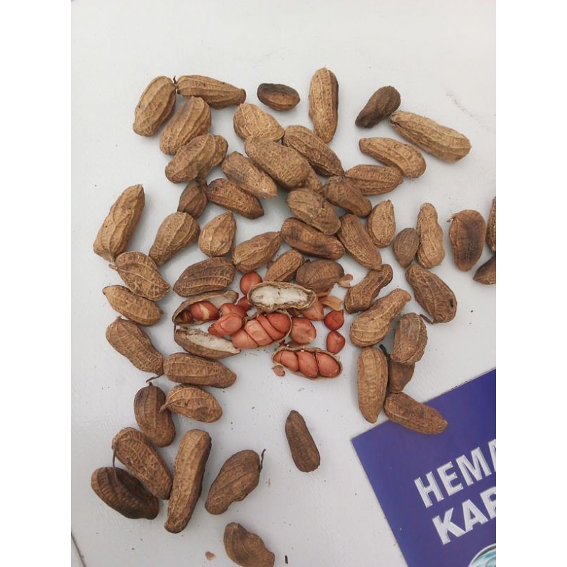 

Kacang goreng