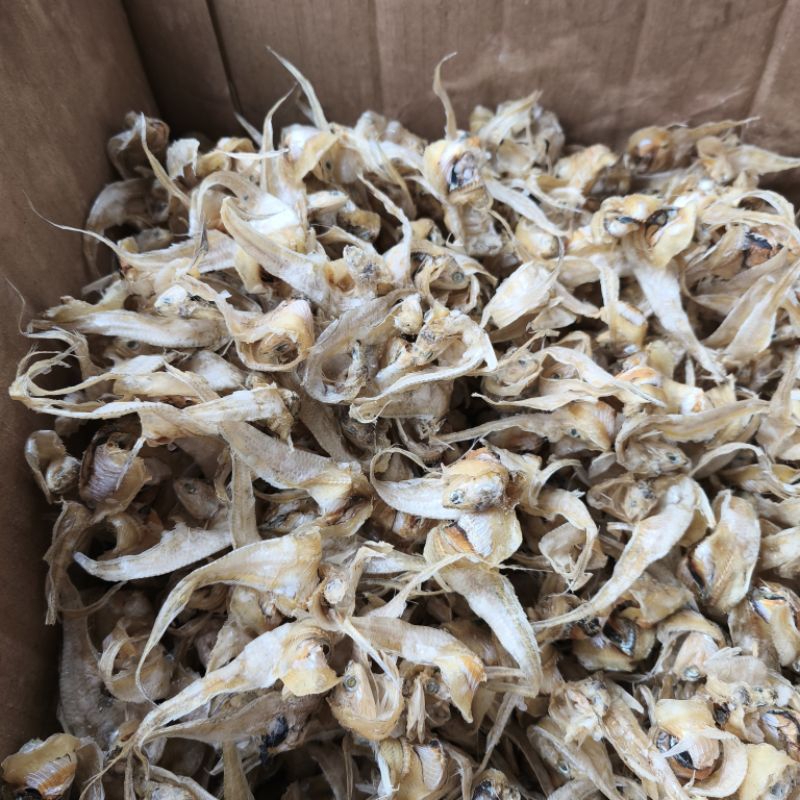 

IKAN KERING BULU AYAM