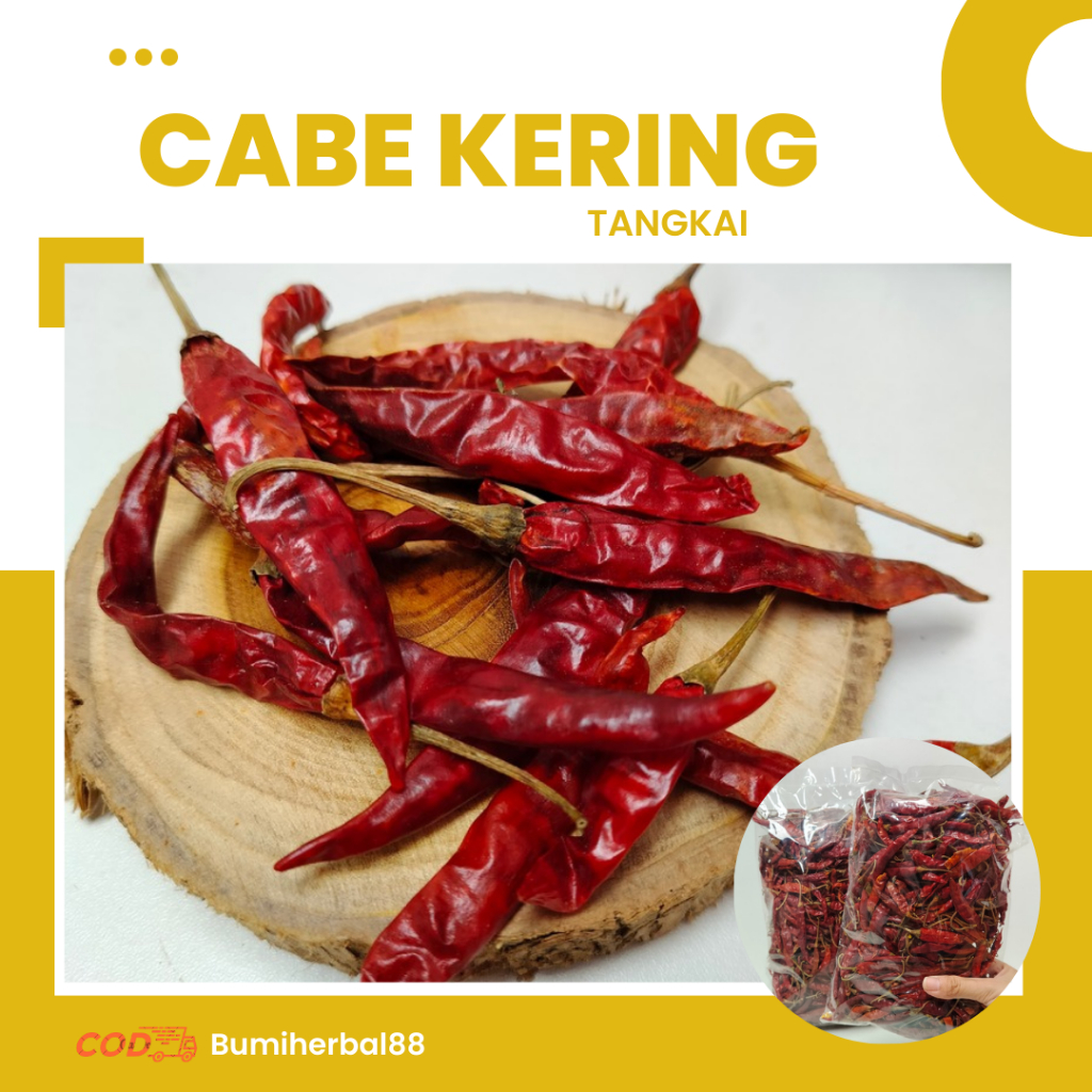

Cabe Teja Kering Rempah Alami | Cabe Rawit Extra Pedas Dengan Tangkai
