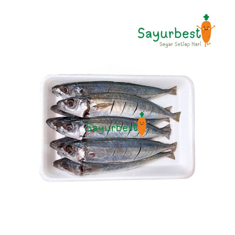 

(PO KIRIM BESOK) Ikan Kembung Layang