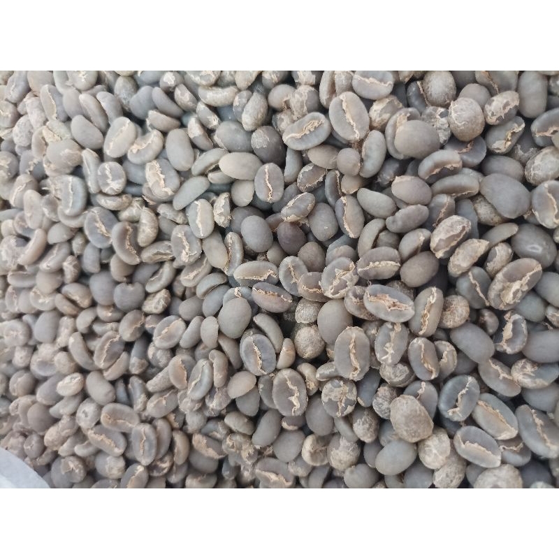 

Biji Kopi Arabica Arabika Green Bean Mentah Malabar Full Washed Process Specialty Grade