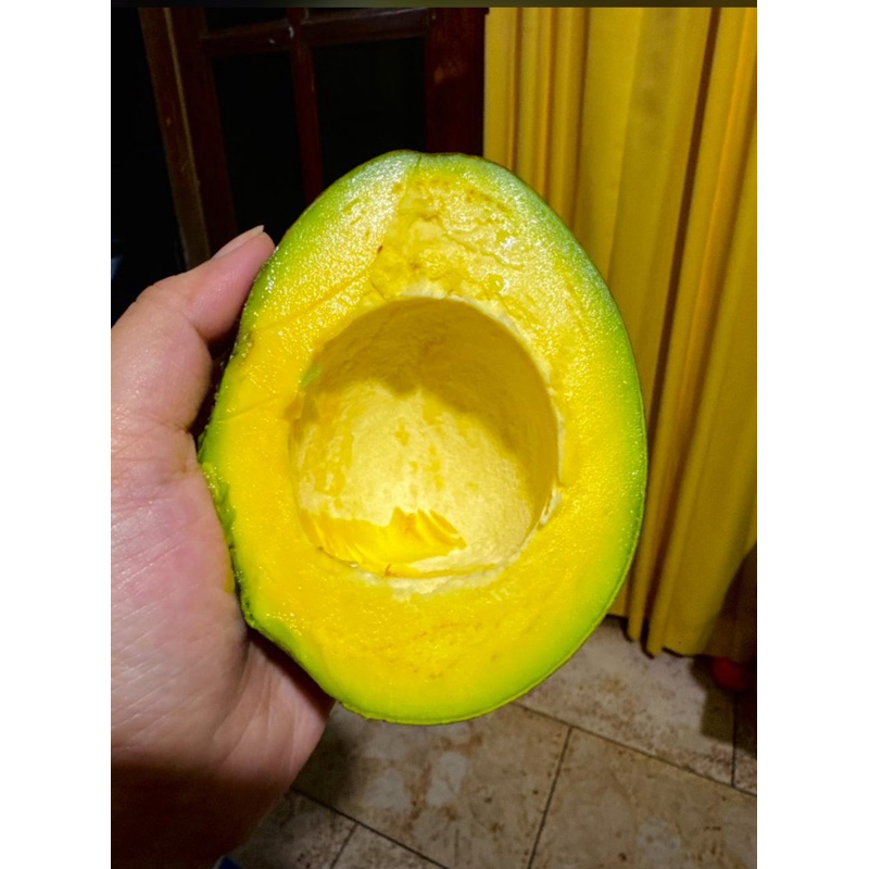 

ALPUKAT MIKI MENTEGA 1KG ISI [2-4] JATIM ONLY